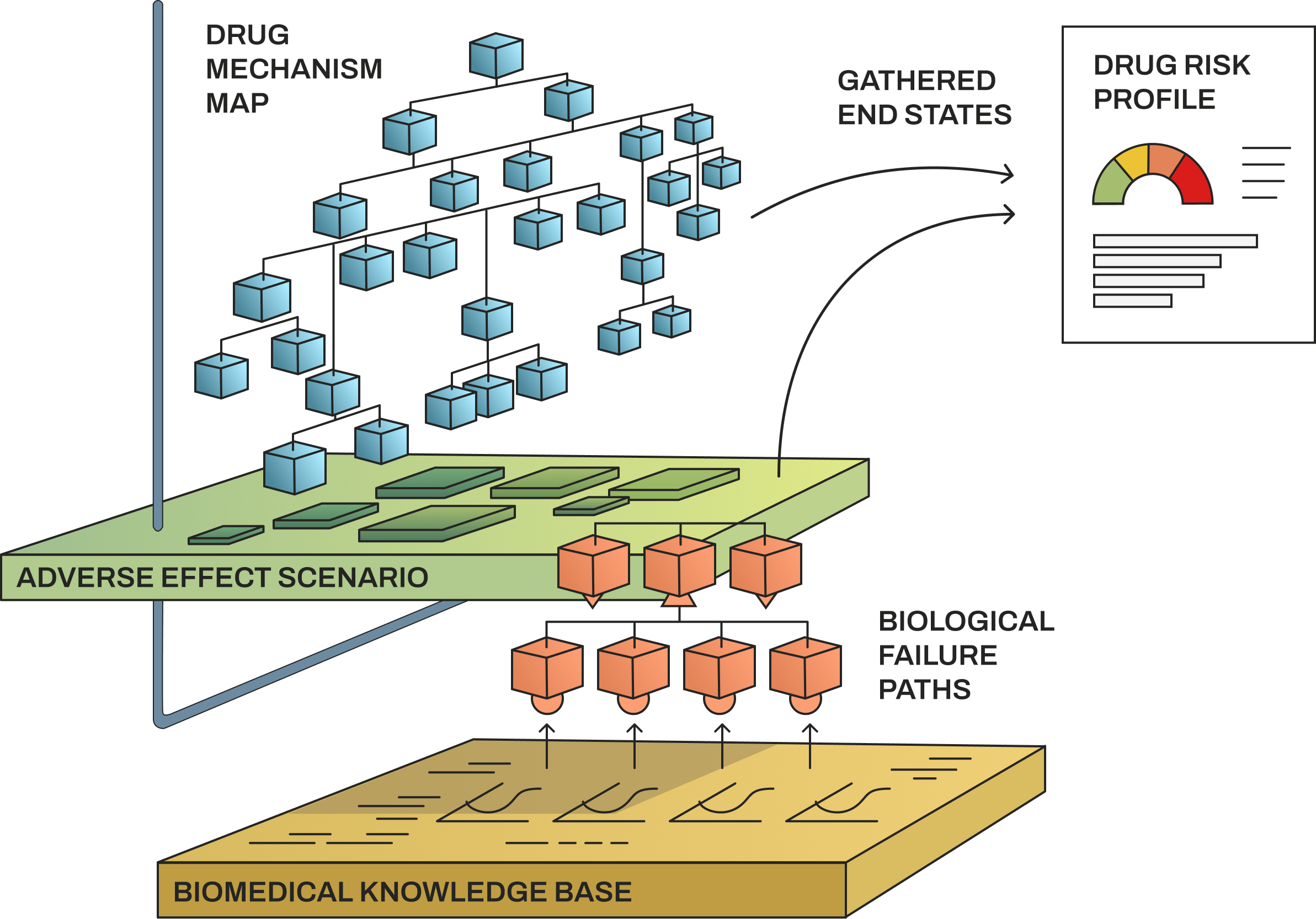 VRA Overview: Biomedical Knowledge Base feeds Adverse Effect Scenarios, which build the Drug Mechanism Map, producing a Drug Risk Profile with quantitative scores